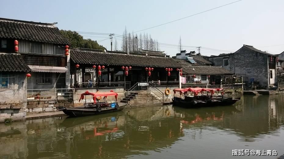 如果你家狗狗老了,你会好好帮它度过余生,还是狠心抛弃它呢?